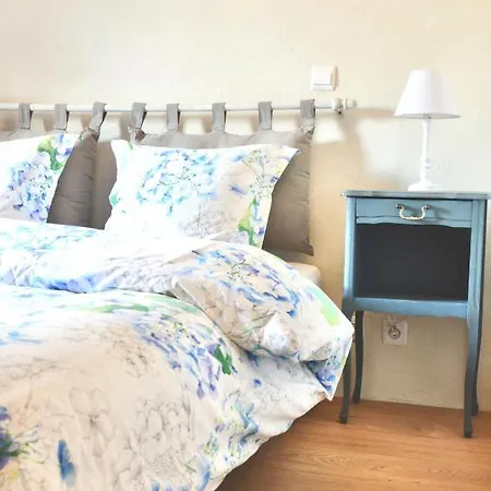 Mas Picagnol 아파트 Oms