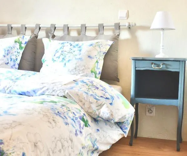 Mas Picagnol Апартаменты Oms