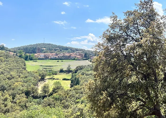 Апартаменты Mas Picagnol Oms